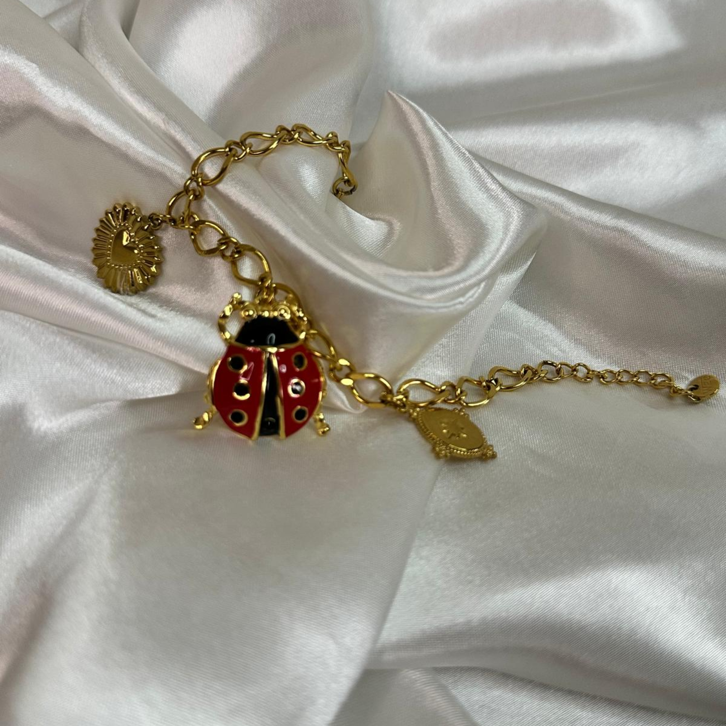 Parure con coccinella in acciaio inox